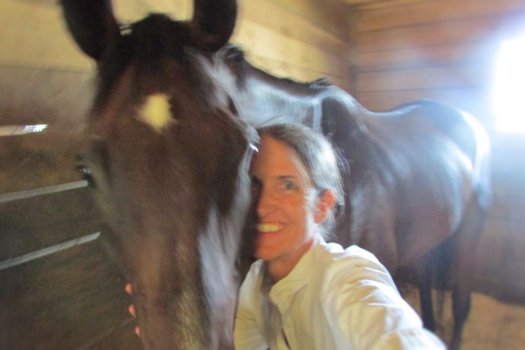 horse-show-8-23-050-2